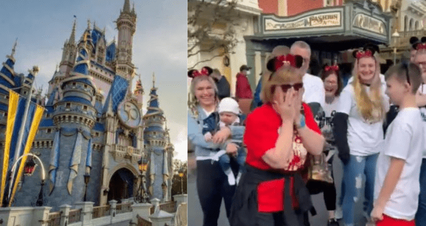 Cinderella Castle dazzles on the left, while on the right, a woman with Mickey ears beams in surprise as her family and friends celebrate her 70th birthday at Walt Disney World. The group’s joy capture the magic of a Disney family surprise!.