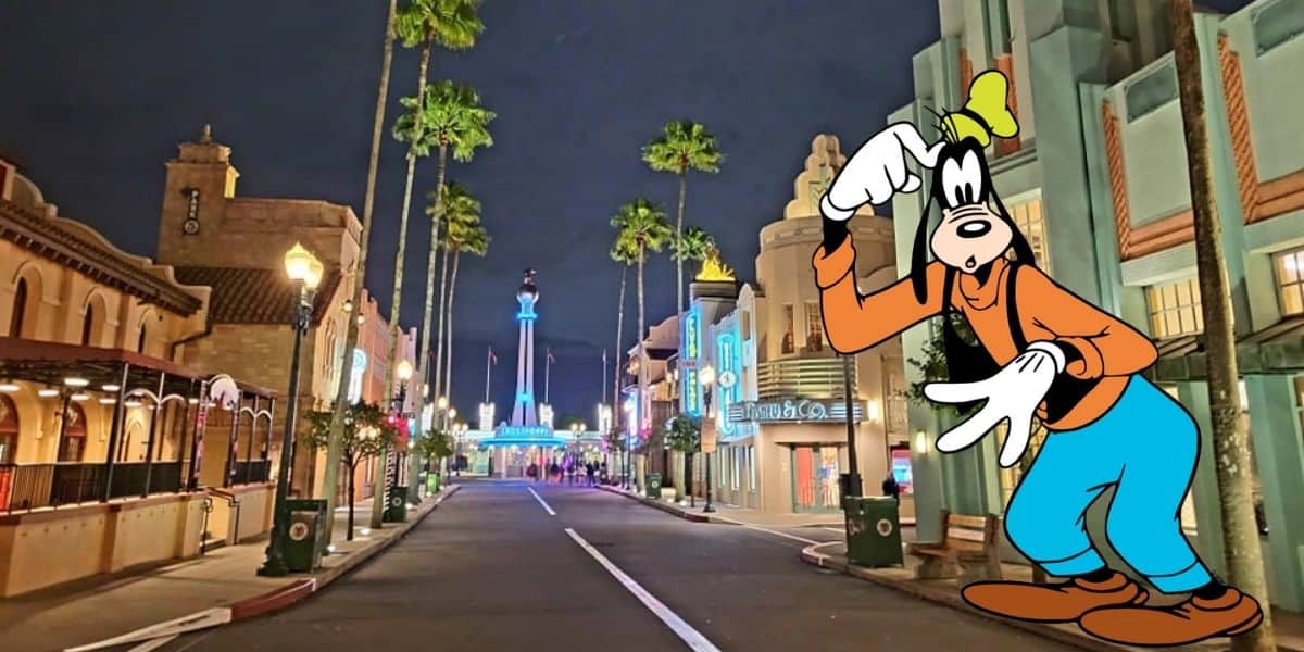 hollywood-studios-confused