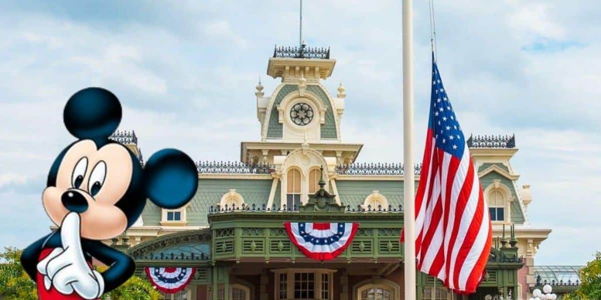 flag-mickey-secret-military
