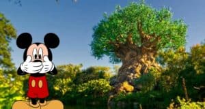animal-kingdom-secret