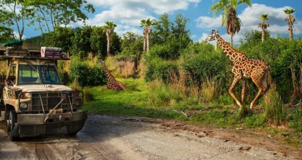 kilimanjaro-safari-giraffe