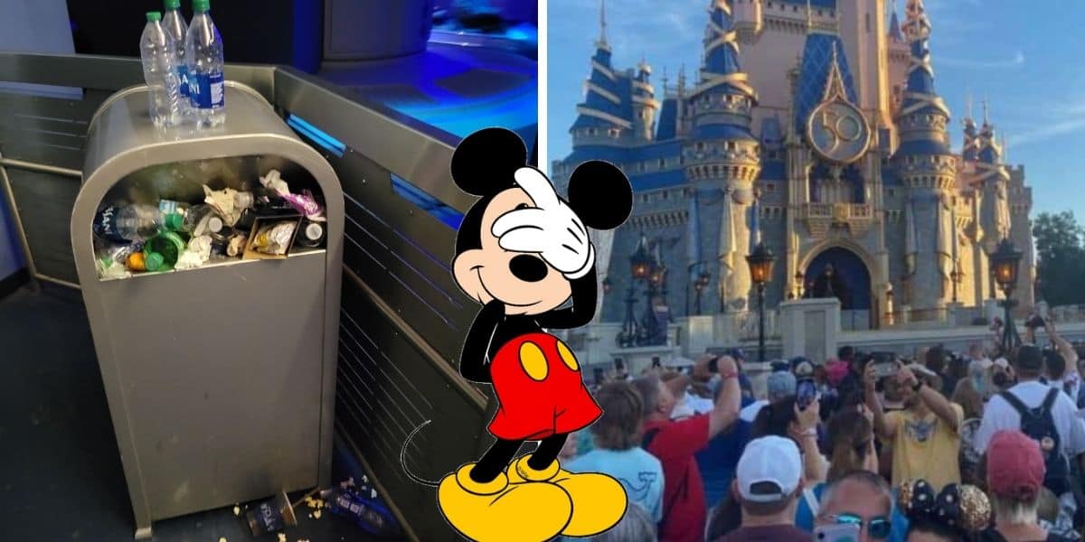 mickey-trash-crowds