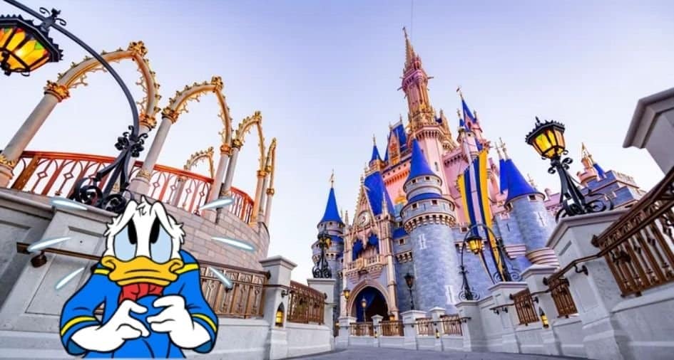 Donald Duck and Cinderella Castle