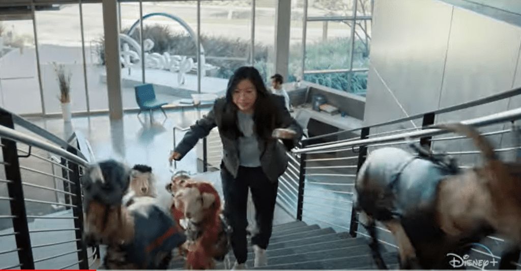 awkwafina-goats-commercial