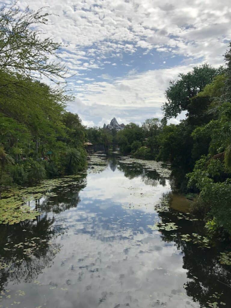 Discovery-river