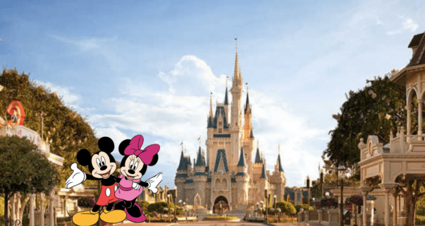 Disney Honeymoon
