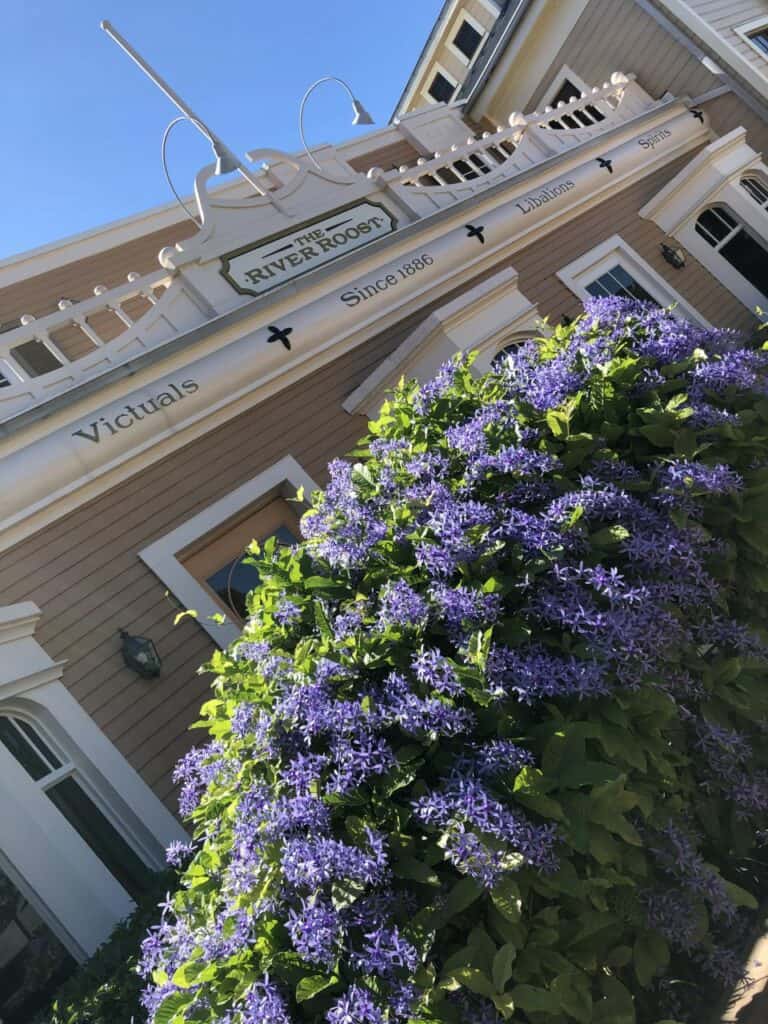 Vibrant purple flowers line the front of The River Roost at Disney’s Port Orleans Riverside Resort, with the charming tan building and its welcoming sign standing out beneath a brilliant blue sky.