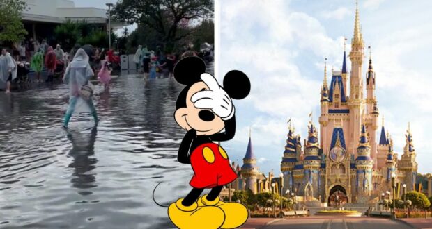 castle-facepalm-flood