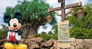 disney-animal-kingdom-new-experiences