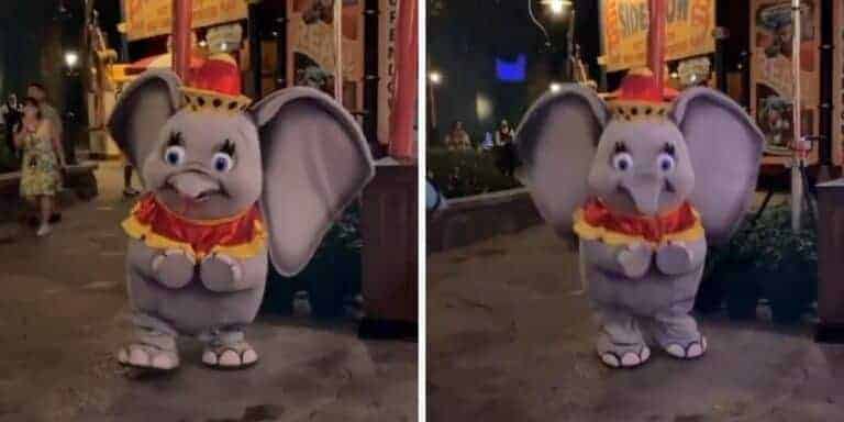 elephant-dumbo