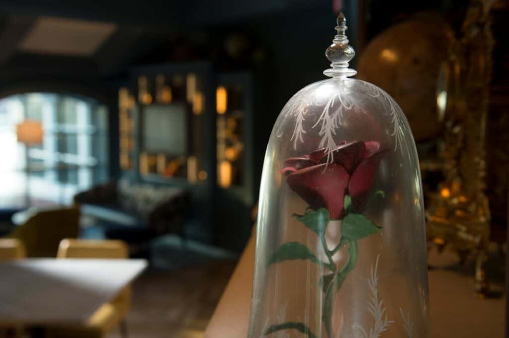 enchanted-rose-lounge