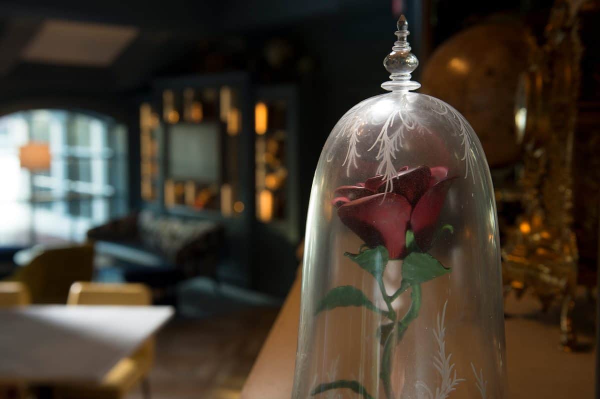 A single red rose with green leaves is enclosed in a glass dome with etched designs, displayed in the dimly lit, elegant Enchanted Rose Lounge, surrounded by vintage decor and classic furniture in the background.