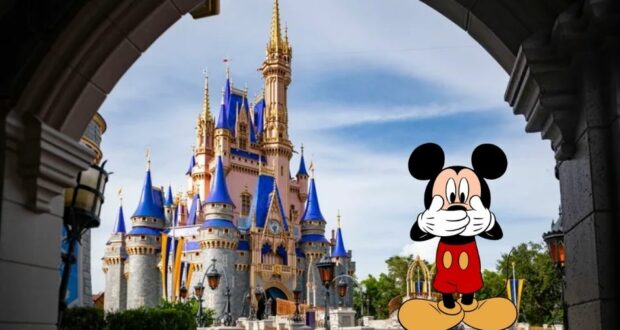 guest-shuts-down-magic-kingdom