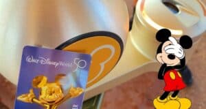 annual-pass-ticket-mickey-entrance
