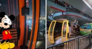 facepalm-mickey-gondola-skyliner