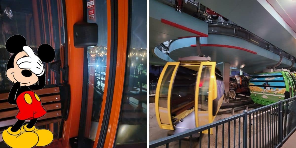 facepalm-mickey-gondola-skyliner