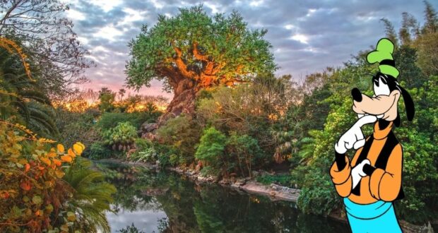 animal-kingdom-goofy