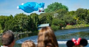 kitetails-animal-kingdom-show
