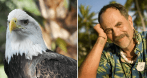 A majestic bald eagle stands proudly on the left, while a cheerful guest in a tropical shirt and necklace beams on the right, capturing the wild excitement and vibrant atmosphere of Disney’s Animal Kingdom.
