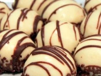 zebra-domes