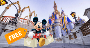 Free Disney World Souvenirs
