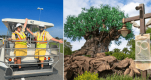 Parking Trams Animal Kingdom