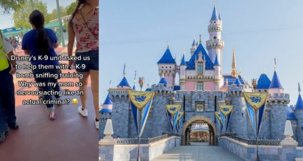 k-9-dog-sniffing-disneyland