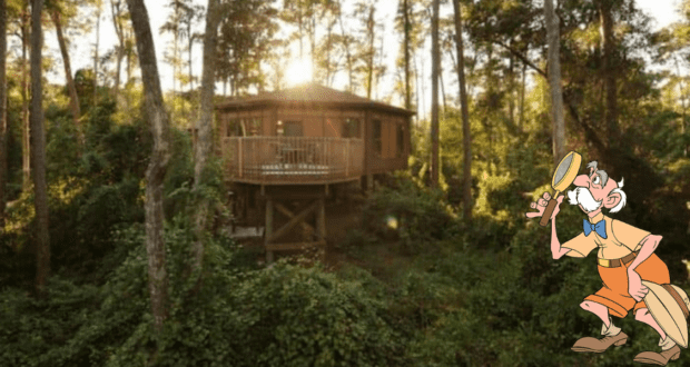 A wooden cabin sits elevated among tall trees in a sunlit forest. A cartoon explorer with a hat and monocle stands in the foreground, gazing upward, as if discovering the magic of a Disney Resort nestled in nature's embrace.