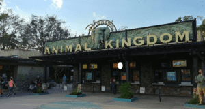 Animal Kingdom
