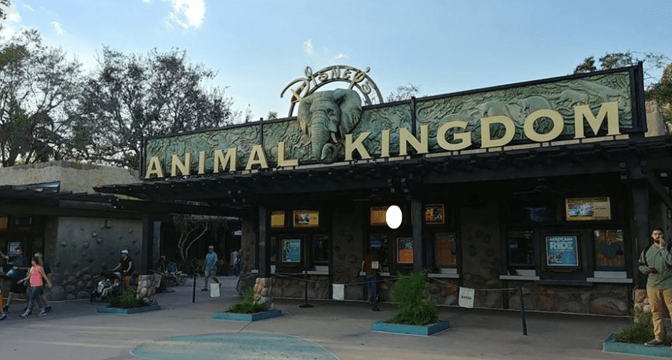 Animal Kingdom