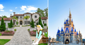 Disney Golden Oak