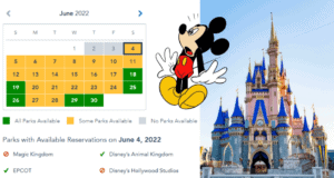 Check your June 2022 Disney park reservation availability, with Mickey Mouse and Cinderella Castle in the background, as entry may be limited based on Walt Disney World capacity.