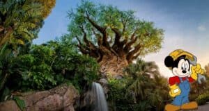 animal-kingdom-refurbishment