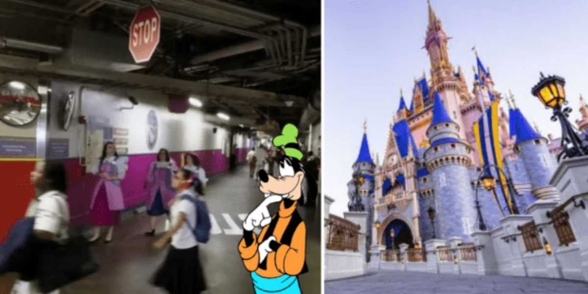 On the left, Walt Disney World cast members walk in a backstage area beneath a "Stop" sign. An illustrated Goofy stands in the foreground. On the right, the iconic blue-and-pink Cinderella Castle at a Disney theme park is shown on a bright, sunny day.