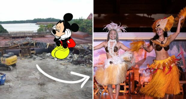 universal-dinner-show-vs-disney