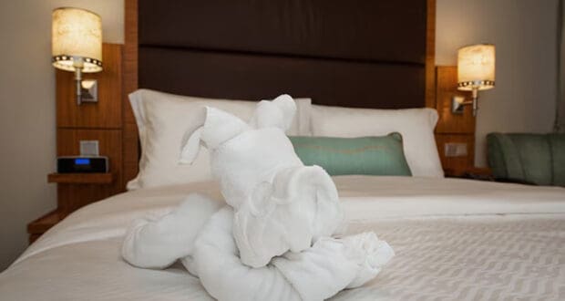 A towel folded into the shape of a dog sits on a neatly made bed with white linens in a Disney Cruise Verandah Stateroom, two pillows, a green cushion, and two lit bedside lamps completing the cozy scene.