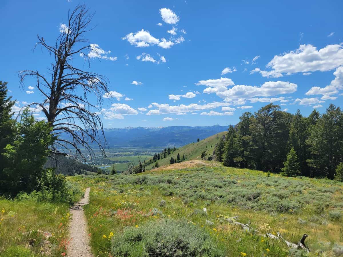 grand-teton-adventures-by-disney