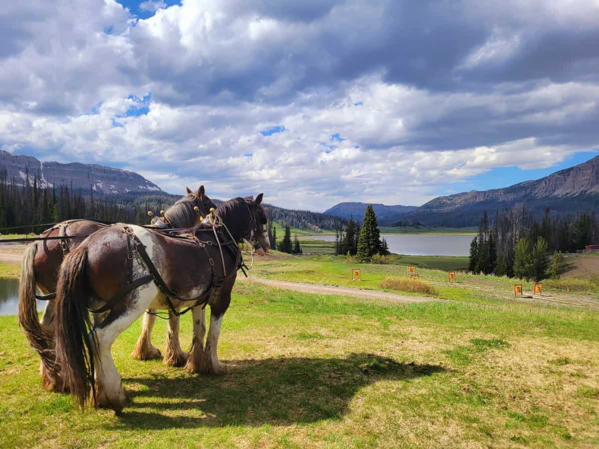 brooks-lake-lodge-wyoming