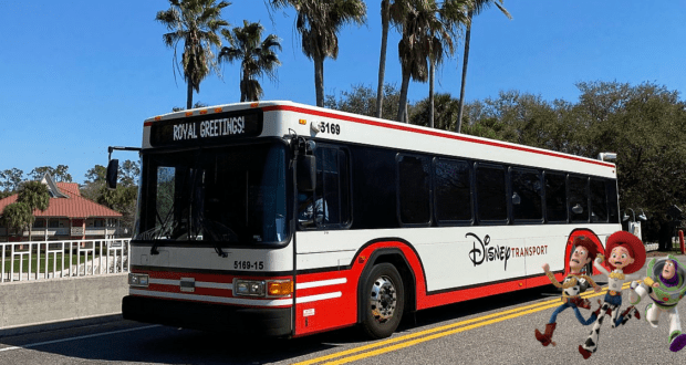 bus