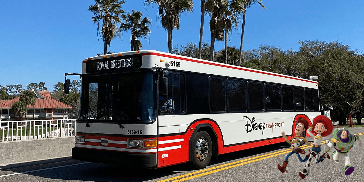 bus