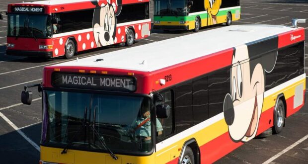 disney-buses