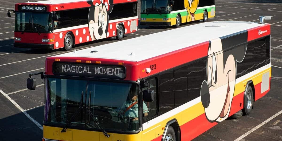 disney-buses