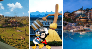Disney Resorts to Visit