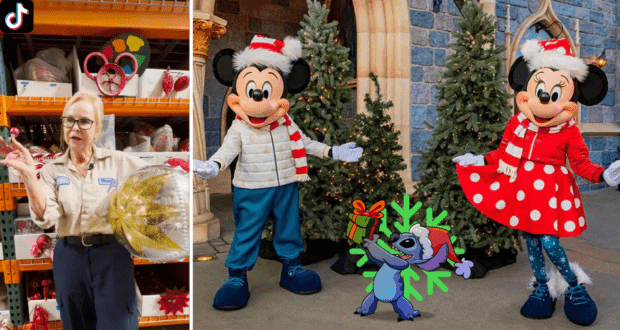 Disneyland Christmas