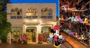 Disney's Animal Kingdom shops
