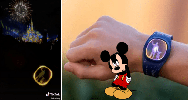 MagicBand+