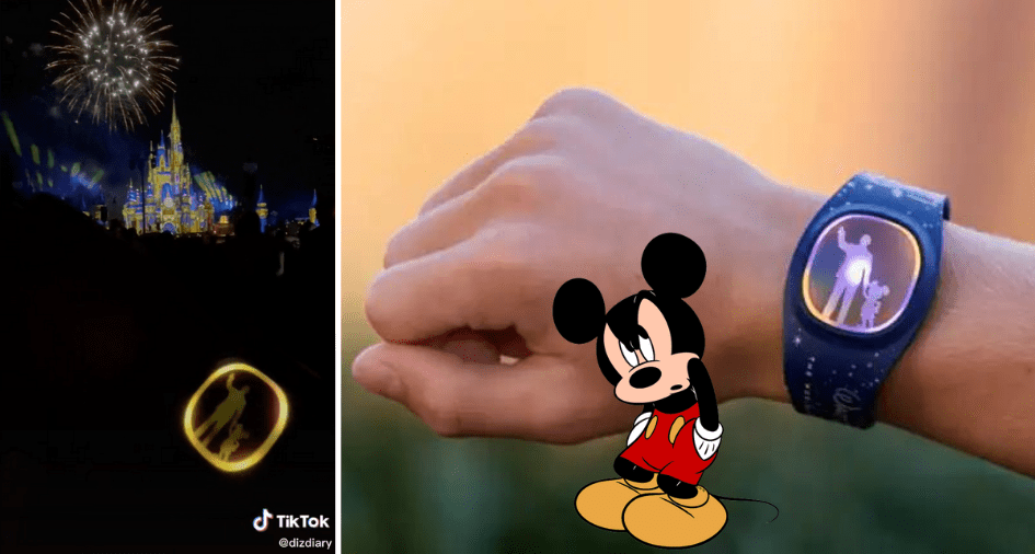 MagicBand+
