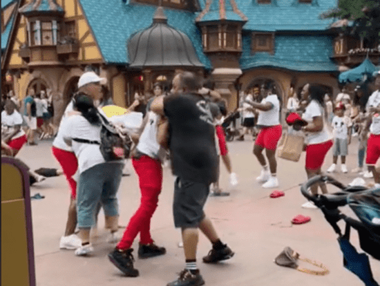 Brawl in the Magic Kingdom