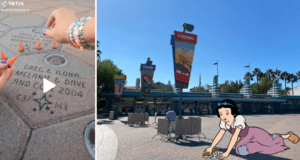 Disneyland Esplanade