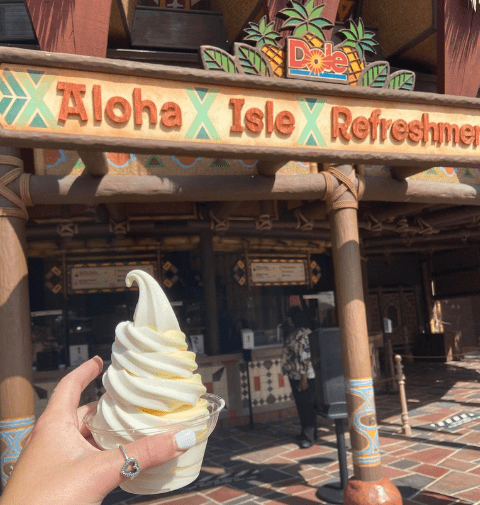 DOLE Whip
